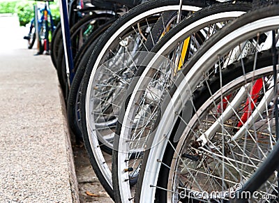 Bicycle wheels Stock Photo