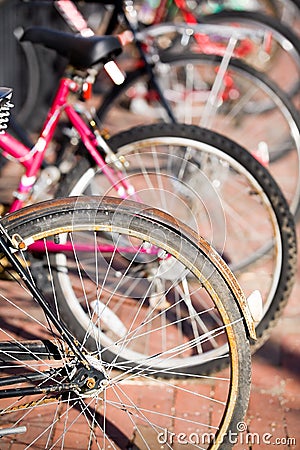 Bicycle wheels Stock Photo