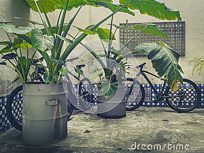 Bicycles parked at courtyard Editorial Stock Photo