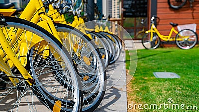 Bicycles parked in row at a rent a bike shop in a park Editorial Stock Photo