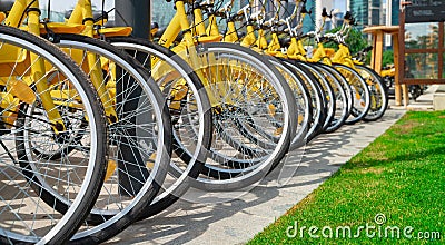 Bicycles parked in row at a rent a bike shop in a park Editorial Stock Photo