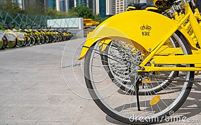 Bicycles parked in row at a rent a bike shop in a park Editorial Stock Photo
