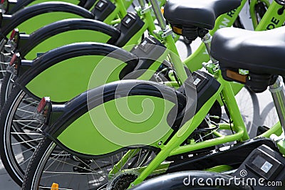 Bicycles parked in row at a rent a bike shop in a park. bike rent Editorial Stock Photo