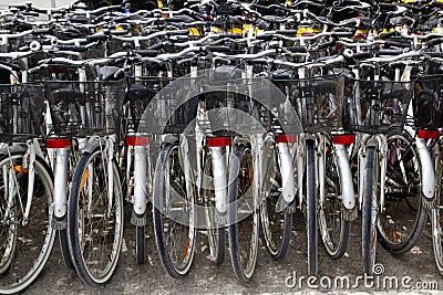 Bicycles renting shop pattern rows parking Stock Photo