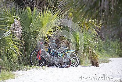 Bicycles on a sandy path at Jekyll Island, GA Editorial Stock Photo