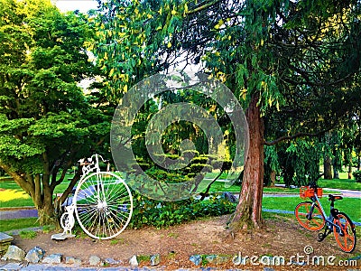 Bicycles, trees, Valentine Park and healthy life in Turin city, Italy Stock Photo