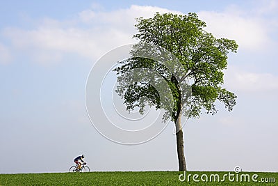 Bicyclist passing a lonely tree Stock Photo