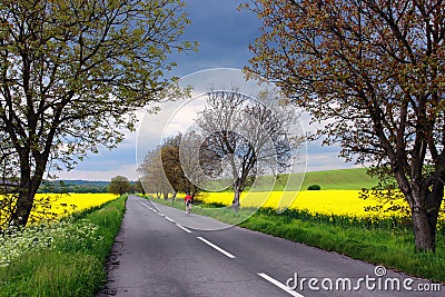 Bicyclist on a rural road in Slovakia Stock Photo