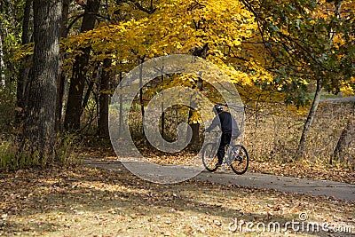 Bicyclist Urban Forest in Michigan Fall Editorial Stock Photo