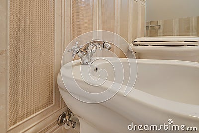 Bidet in modern toilet with wall mount shower attachment Stock Photo