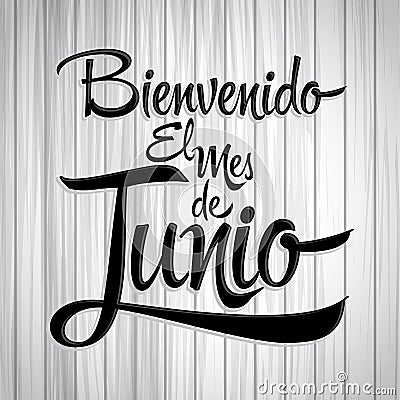 Bienvenido el mes de Junio - Welcome June spanish text Vector Illustration