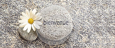 Bienvenue meaning welcome in french on a stone background with a daisy Stock Photo