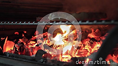 Bife grelhado Bife grelhado