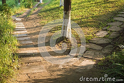 Bifurcation and choice on road Stock Photo