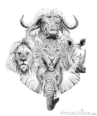 Big african five animal. Hand drawn illustration. Collection of hand drawn illustrations Cartoon Illustration