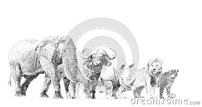 Big african five animal. Sketch with pencil Stock Photo