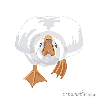 Big angry goose that is running and going to bite probably. Goose male bird attacking and defending the flock. Vector Vector Illustration