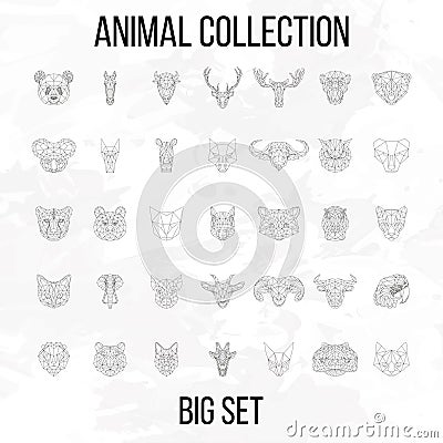 Big animal set Vector Illustration