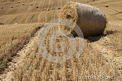 The Big bale Stock Photo