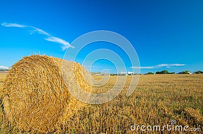 Big bale of straw left in the countryside in a perfect sunny day Stock Photo