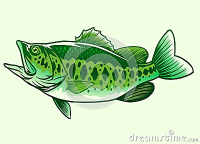 Big bass green fish Vector Illustration