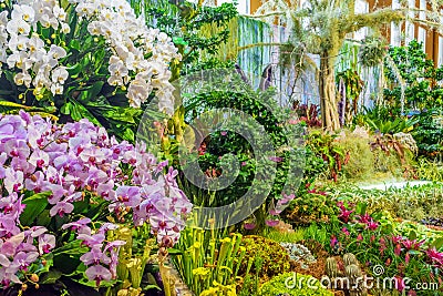 Big beautiful indoor garden Stock Photo