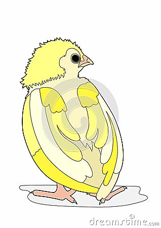 Big bird back Vector Illustration