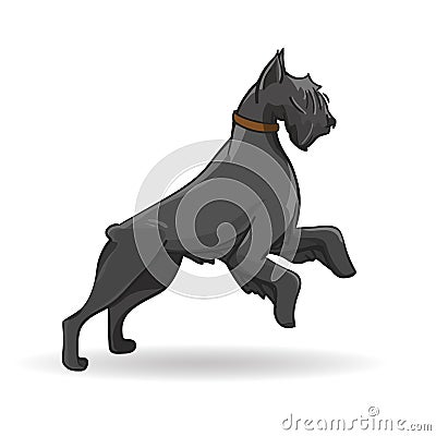 Big black dog of breed rizenschnauzer. Vector Vector Illustration