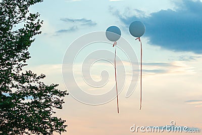 Big blue helium baloons with orange ribbons in blue cloudy sunset sky near the tree. Stock Photo