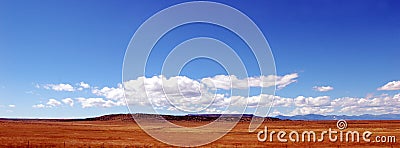 Big Blue Sky Golden Prairie Stock Photo