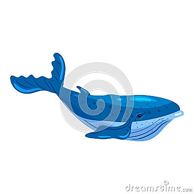 Big Blue Whale aquatic animal. Vector illustration cartoon hand draw style Vector Illustration