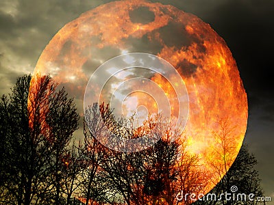 Big bright full orange red blood moon behind bare leafless trees on cloudy black sky background wallpaper. Cartoon Illustration