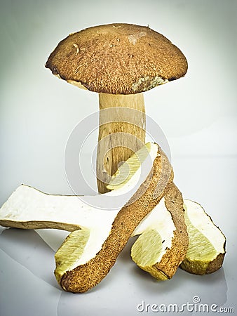 Big brown boletus mushroom sliced Stock Photo