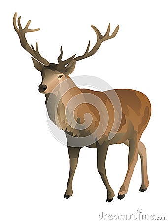 Big brown male stag cartoon style illustration Vector Illustration