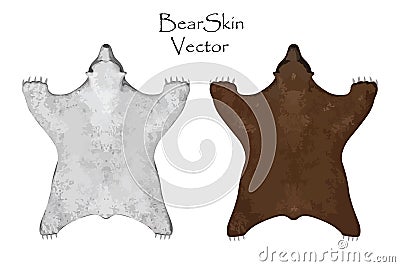Big brown and white Bear pelt. Hunting trophy. Vector illustration. Interior Design Cartoon Illustration