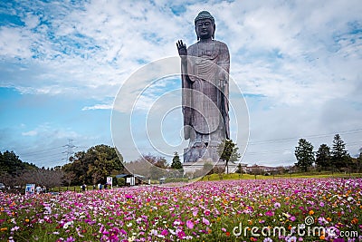 Big Buddha `Ushiku Daibutsu` in Japan. Big Buddha in flower field. Editorial Stock Photo