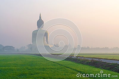 The Big Buddha at Wat Muang Temple with fog and grass Stock Photo