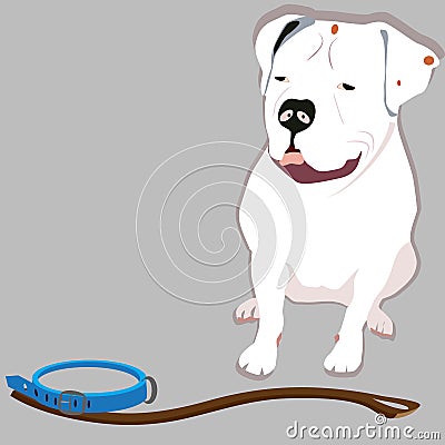 Big bulldog Cartoon Illustration