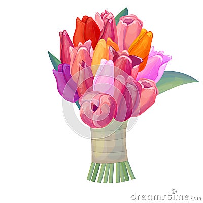 Big bunch of detailed pink, yellow and red tulips on white background. Illustration of flowers can be used for festive and spring Vector Illustration