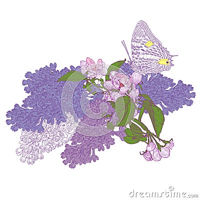 Big Butterfly Sitting Down on Blooming Lilac and Vector Illustration