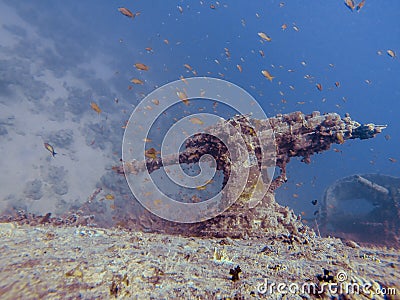 Big gun on top of a ship wreck during dive Stock Photo