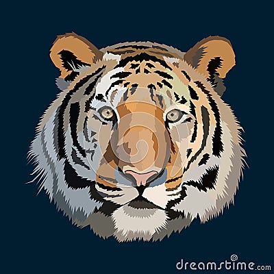 Big cat colorful vector illustration, tiger face pop art portrait premium vector Vector Illustration