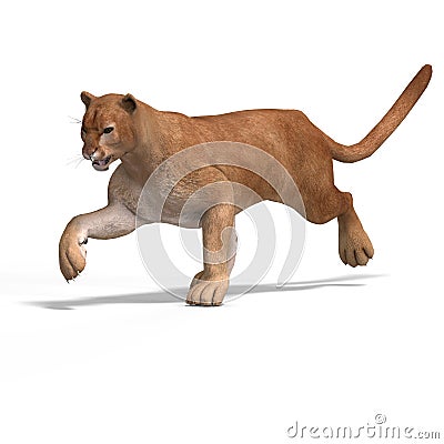 Big Cat Puma Stock Photo