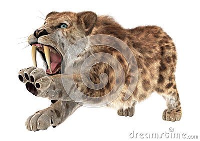 Big Cat Smilodon Stock Photo