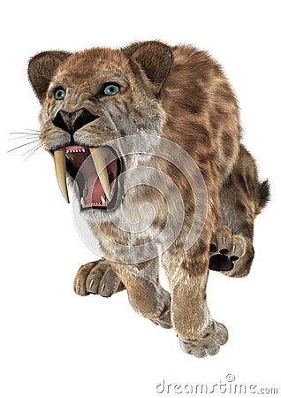 Big Cat Smilodon Stock Photo