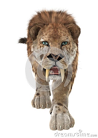 Big Cat Smilodon Stock Photo