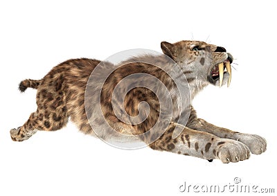 Big Cat Smilodon Stock Photo