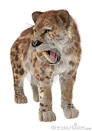 Big Cat Smilodon Stock Photo