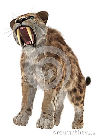 Big Cat Smilodon Stock Photo