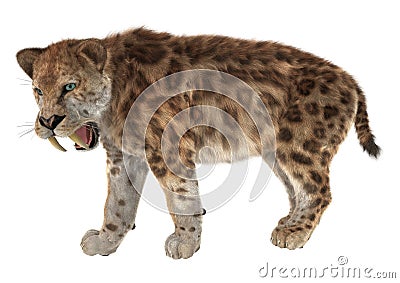 Big Cat Smilodon Stock Photo